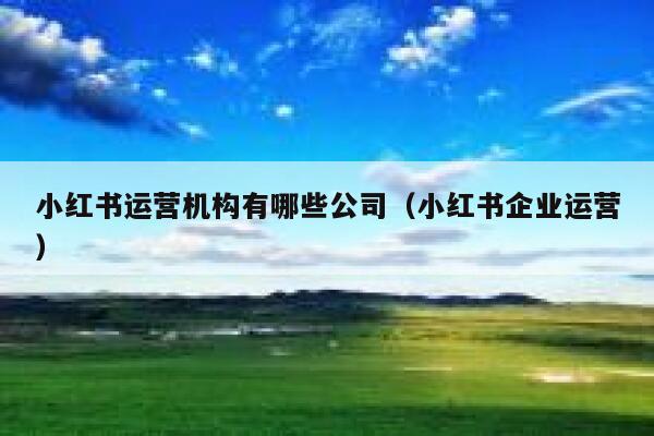 小红书运营机构有哪些公司（小红书企业运营）