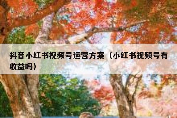 抖音小红书视频号运营方案（小红书视频号有收益吗）