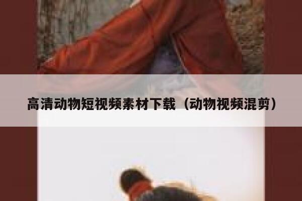 高清动物短视频素材下载（动物视频混剪）