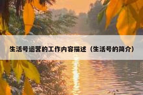 生活号运营的工作内容描述（生活号的简介）