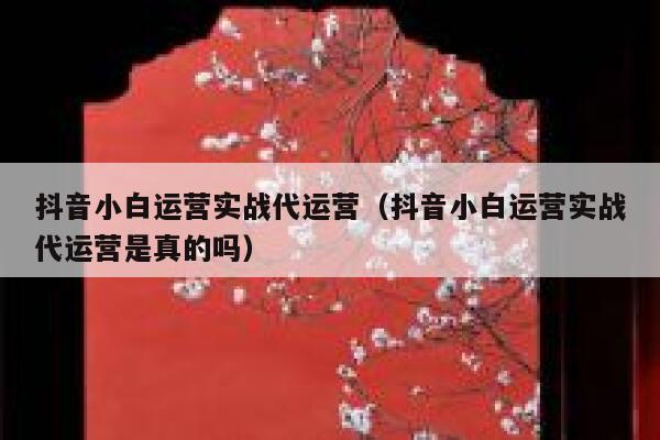 抖音小白运营实战代运营（抖音小白运营实战代运营是真的吗）