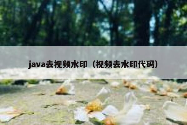 java去视频水印（视频去水印代码）