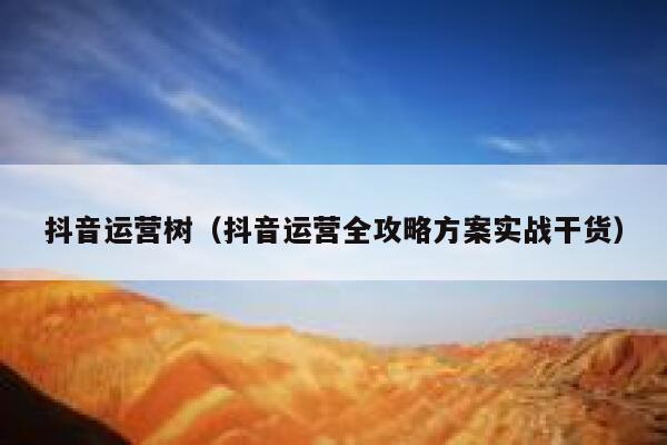 抖音运营树（抖音运营全攻略方案实战干货）