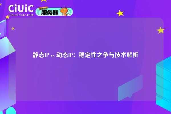 静态IP vs 动态IP：稳定性之争与技术解析