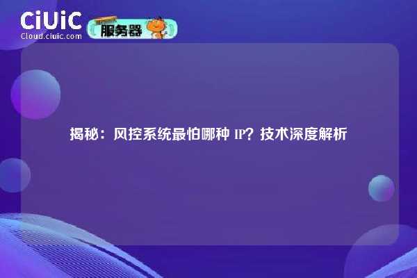 揭秘：风控系统最怕哪种 IP？技术深度解析