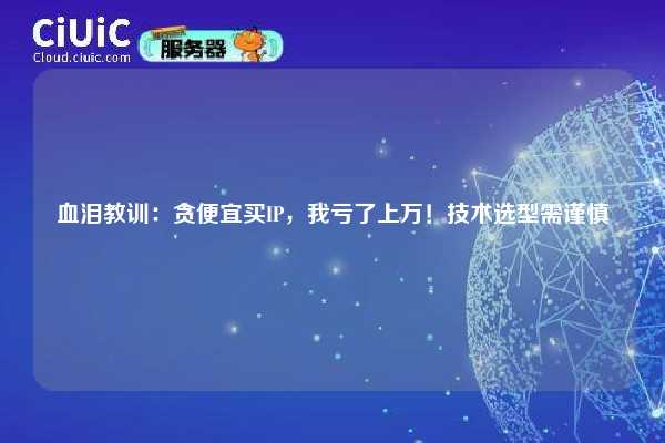 血泪教训：贪便宜买IP，我亏了上万！技术选型需谨慎