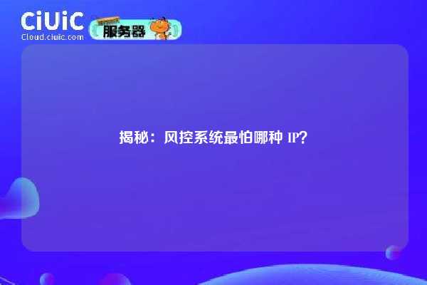 揭秘：风控系统最怕哪种 IP？