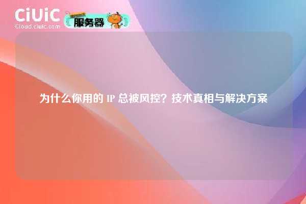 为什么你用的 IP 总被风控？技术真相与解决方案