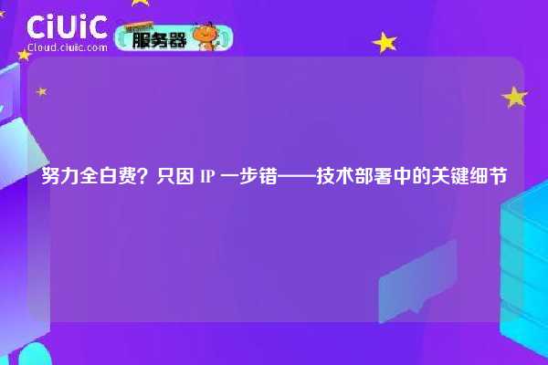 努力全白费？只因 IP 一步错——技术部署中的关键细节