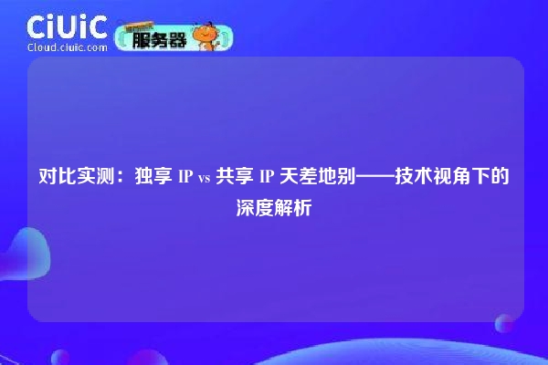 对比实测：独享 IP vs 共享 IP 天差地别——技术视角下的深度解析