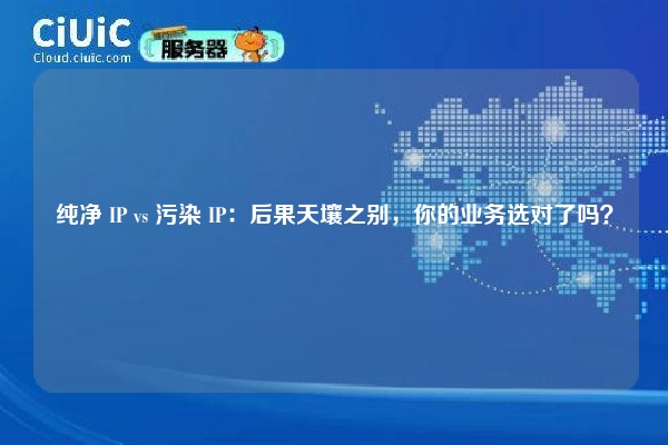纯净 IP vs 污染 IP：后果天壤之别，你的业务选对了吗？