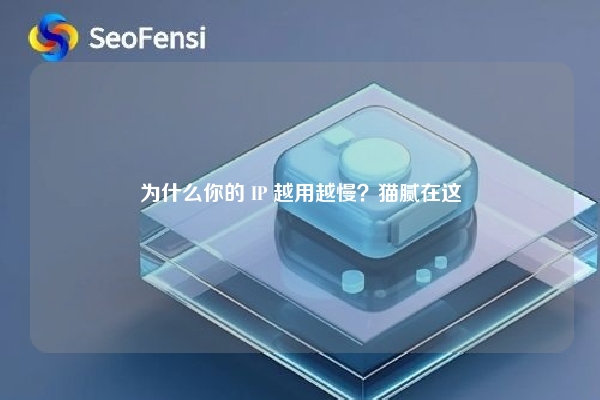 为什么你的 IP 越用越慢？猫腻在这