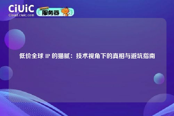 详细阅读:低价全球 IP 的猫腻:技术视角下的真相与避坑指南 低价全球 IP 的猫腻:技术视角下的真相与避坑指南