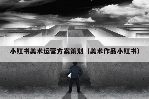 小红书美术运营方案策划（美术作品小红书）