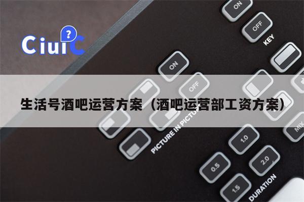 生活号酒吧运营方案（酒吧运营部工资方案）