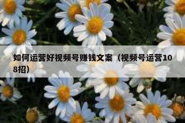 如何运营好视频号赚钱文案（视频号运营108招）