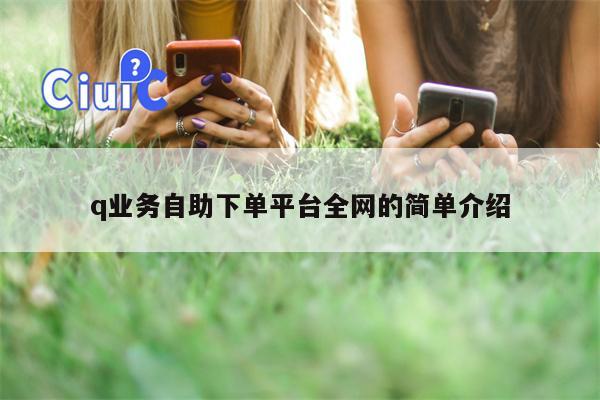 q业务自助下单平台全网的简单介绍