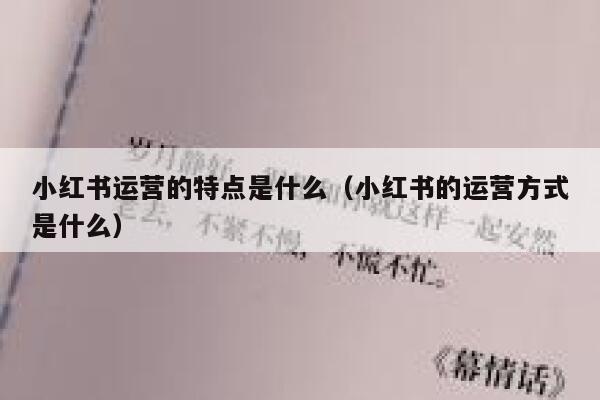 小红书运营的特点是什么（小红书的运营方式是什么）