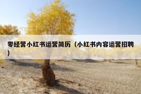 零经营小红书运营简历（小红书内容运营招聘）