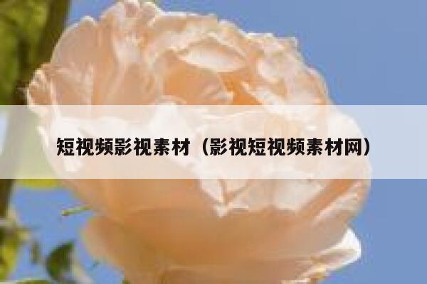 短视频影视素材（影视短视频素材网）