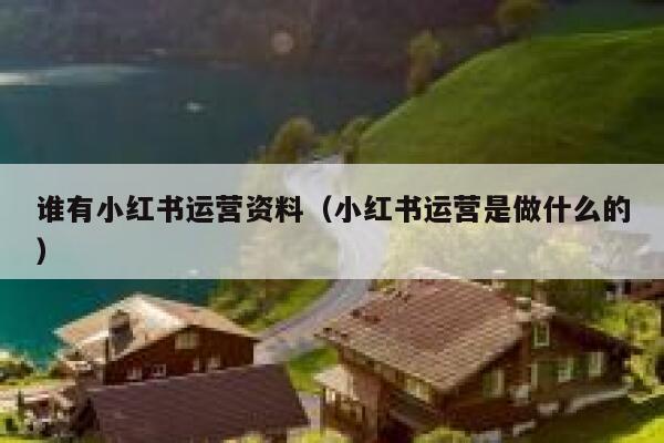 谁有小红书运营资料（小红书运营是做什么的）