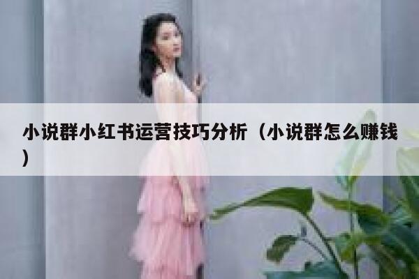 小说群小红书运营技巧分析（小说群怎么赚钱）