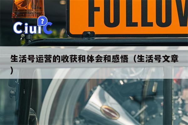 生活号运营的收获和体会和感悟（生活号文章）