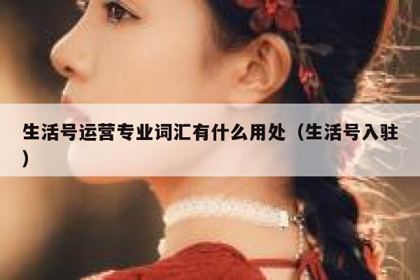 生活号运营专业词汇有什么用处（生活号入驻）