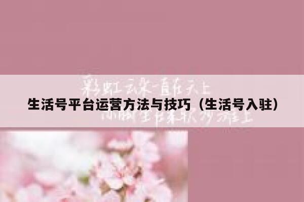 生活号平台运营方法与技巧（生活号入驻）