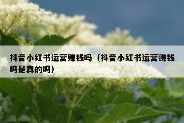 抖音小红书运营赚钱吗（抖音小红书运营赚钱吗是真的吗）