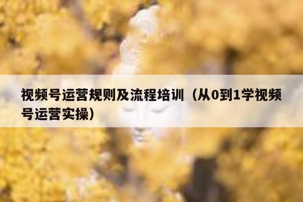 视频号运营规则及流程培训（从0到1学视频号运营实操）