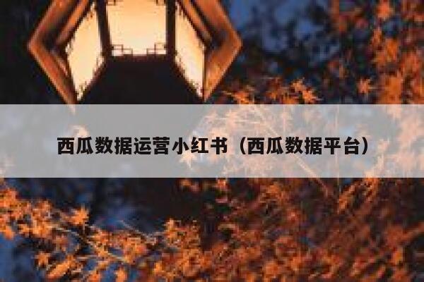 西瓜数据运营小红书（西瓜数据平台）