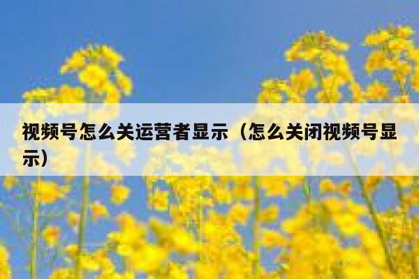 视频号怎么关运营者显示（怎么关闭视频号显示）