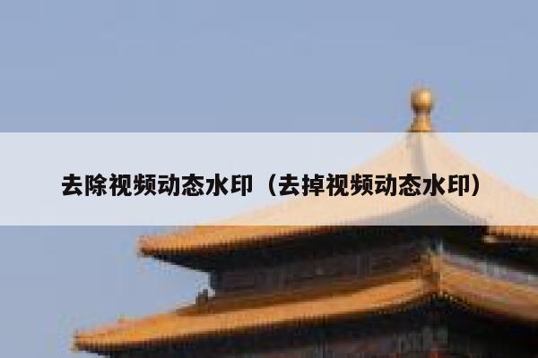 去除视频动态水印（去掉视频动态水印）