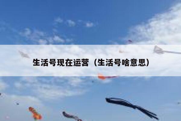 生活号现在运营（生活号啥意思）