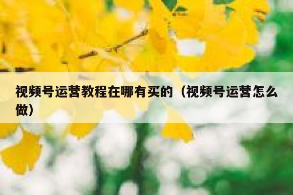 视频号运营教程在哪有买的（视频号运营怎么做）