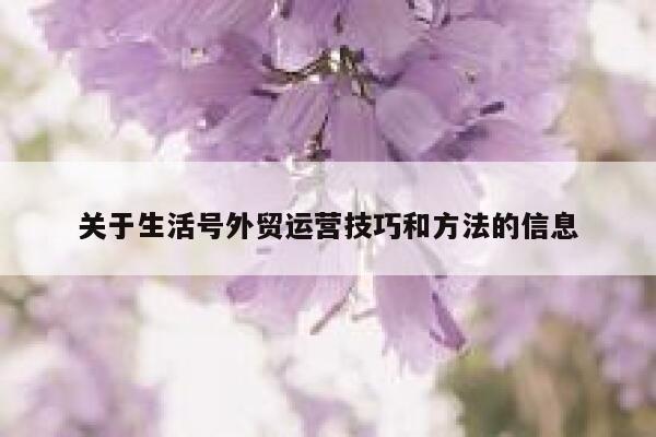 关于生活号外贸运营技巧和方法的信息