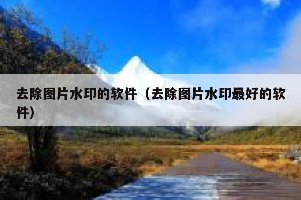 去除图片水印的软件（去除图片水印最好的软件）