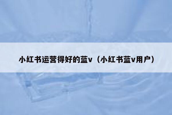 小红书运营得好的蓝v（小红书蓝v用户）