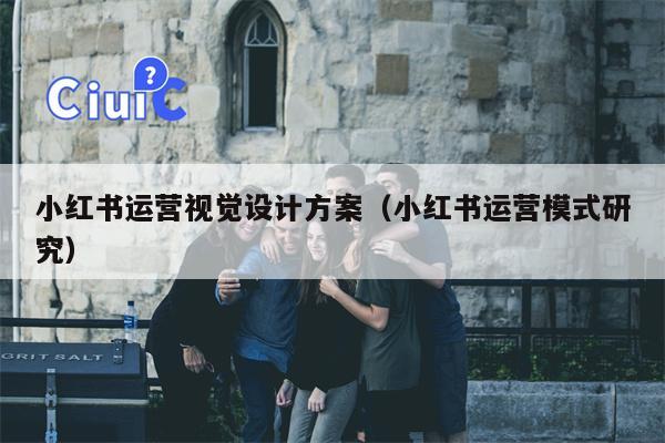 小红书运营视觉设计方案（小红书运营模式研究）