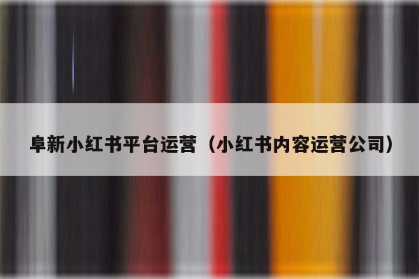 阜新小红书平台运营（小红书内容运营公司）