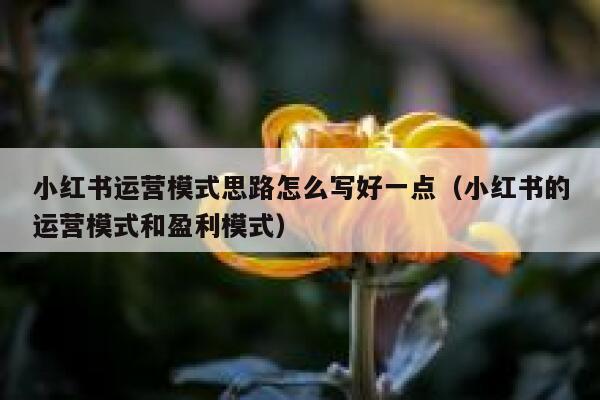 小红书运营模式思路怎么写好一点（小红书的运营模式和盈利模式）