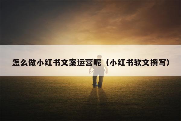 怎么做小红书文案运营呢（小红书软文撰写）
