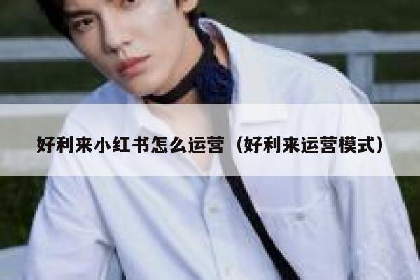 好利来小红书怎么运营（好利来运营模式）