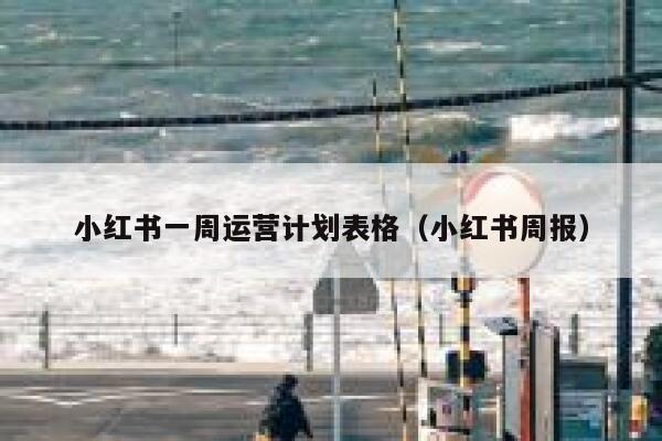 小红书一周运营计划表格（小红书周报）