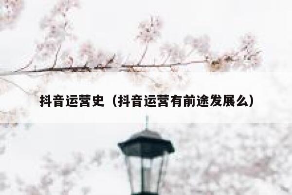 抖音运营史（抖音运营有前途发展么）