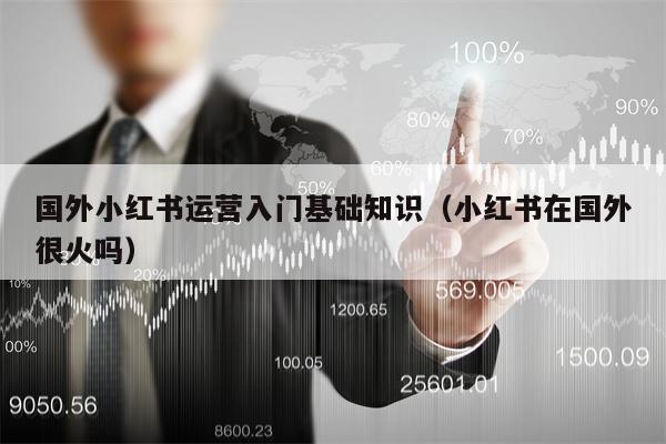 国外小红书运营入门基础知识（小红书在国外很火吗）