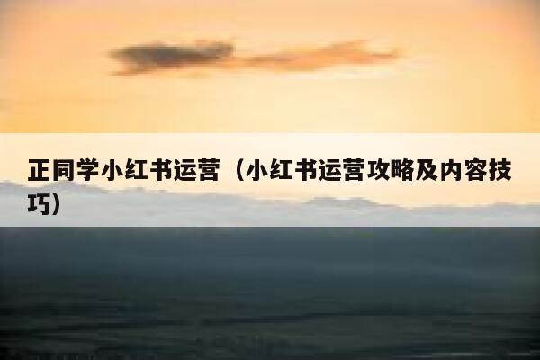 正同学小红书运营（小红书运营攻略及内容技巧）
