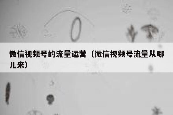 微信视频号的流量运营（微信视频号流量从哪儿来）