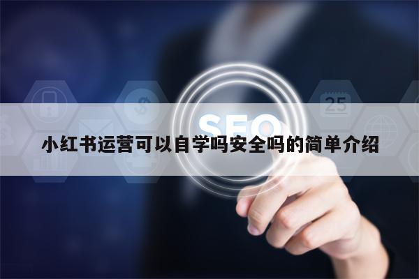 小红书运营可以自学吗安全吗的简单介绍